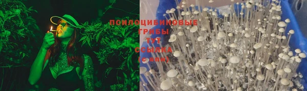МДПВ Вяземский