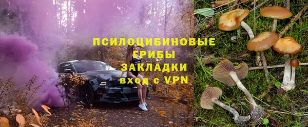 МДПВ Вяземский