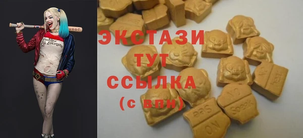 МДПВ Вяземский