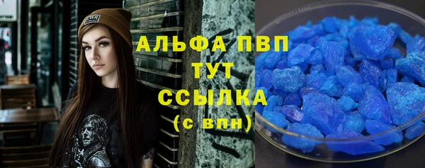 МДПВ Вяземский