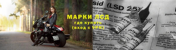 МДПВ Вяземский
